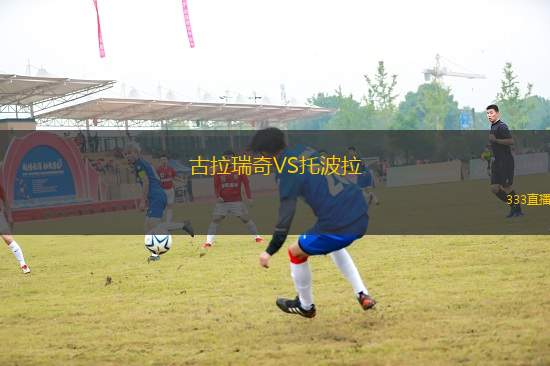 古拉瑞奇VS托波拉