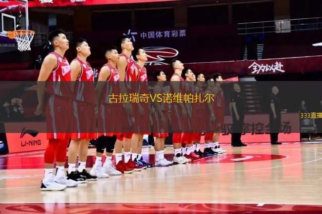 古拉瑞奇VS诺维帕扎尔